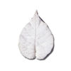 SK-GI Leaf Veiner Mulberry- Paper Extra Large 11.0cm