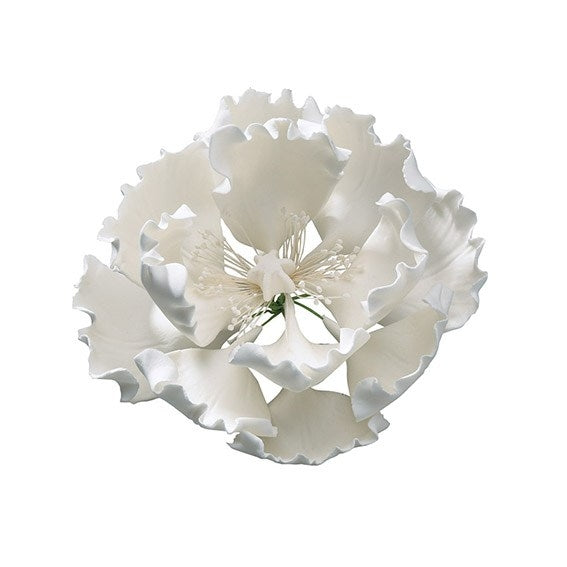 Gumpaste Peony White 4'' #20061