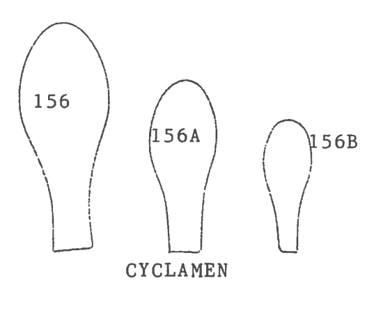 Cyclamen FC156S Set of 3